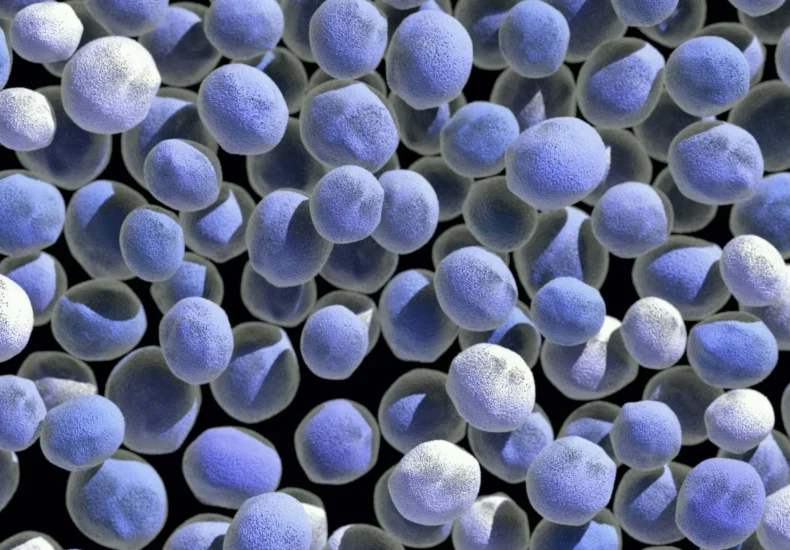 Micro-organisms interact with the susceptible host and produce disease.