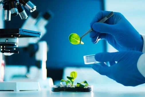 Quality Scientific research trials in homeopathic treatment of chronic diseases at HomeopathyOne.