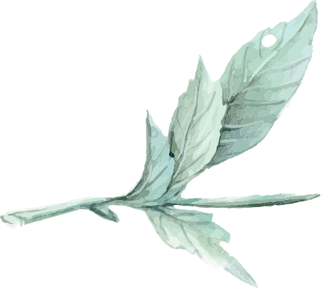 Rare diseases are treated inline with Nature at HomeopathyOne with practice of Hahnemannian Homeopathy.